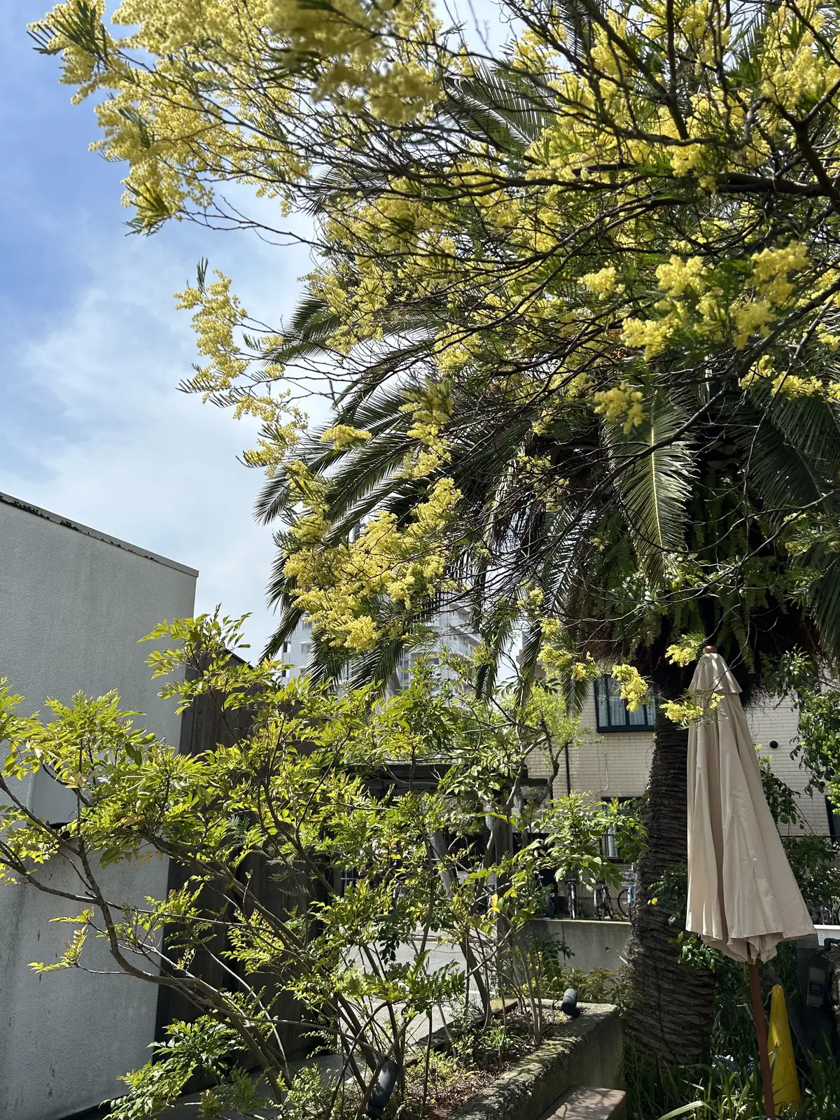  「MOKICH FOODS GARDEの画像_4