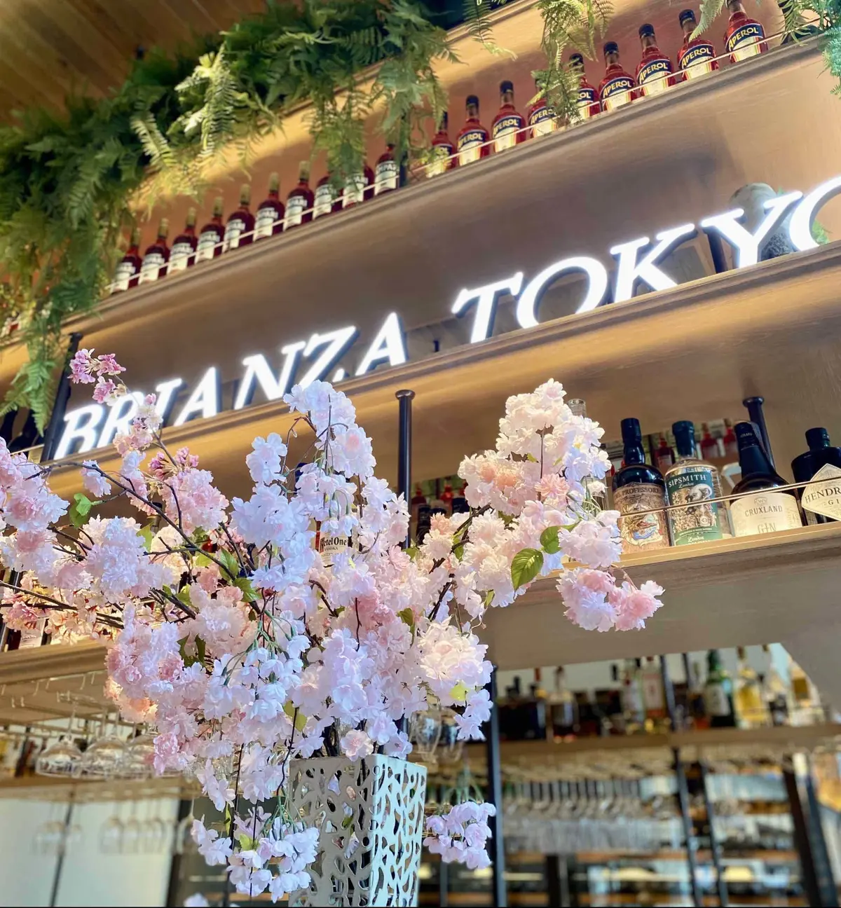 大手町にあるイタリアン「BRIANZA TOKYO 」