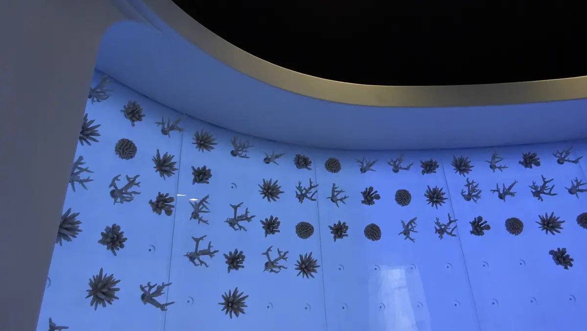 やっぱり行き当たりばったり?な大阪・関西の画像_29