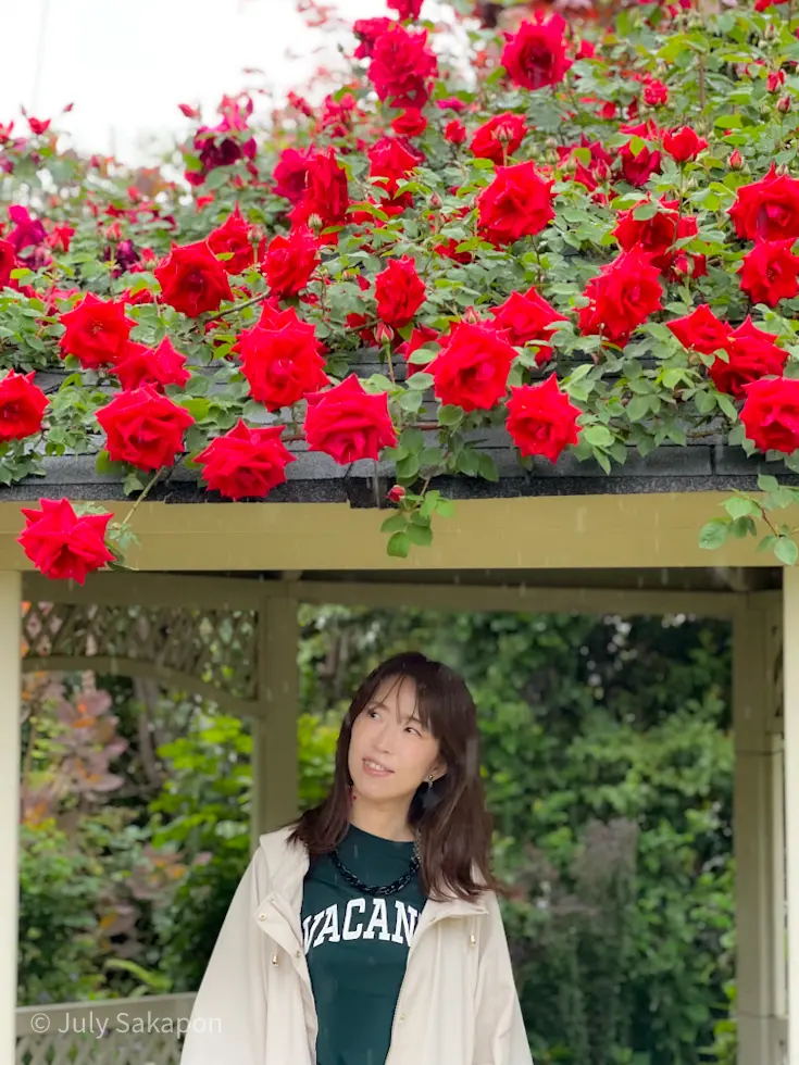 雨のバラ園へ行ってみた@横浜イングリッシの画像_5