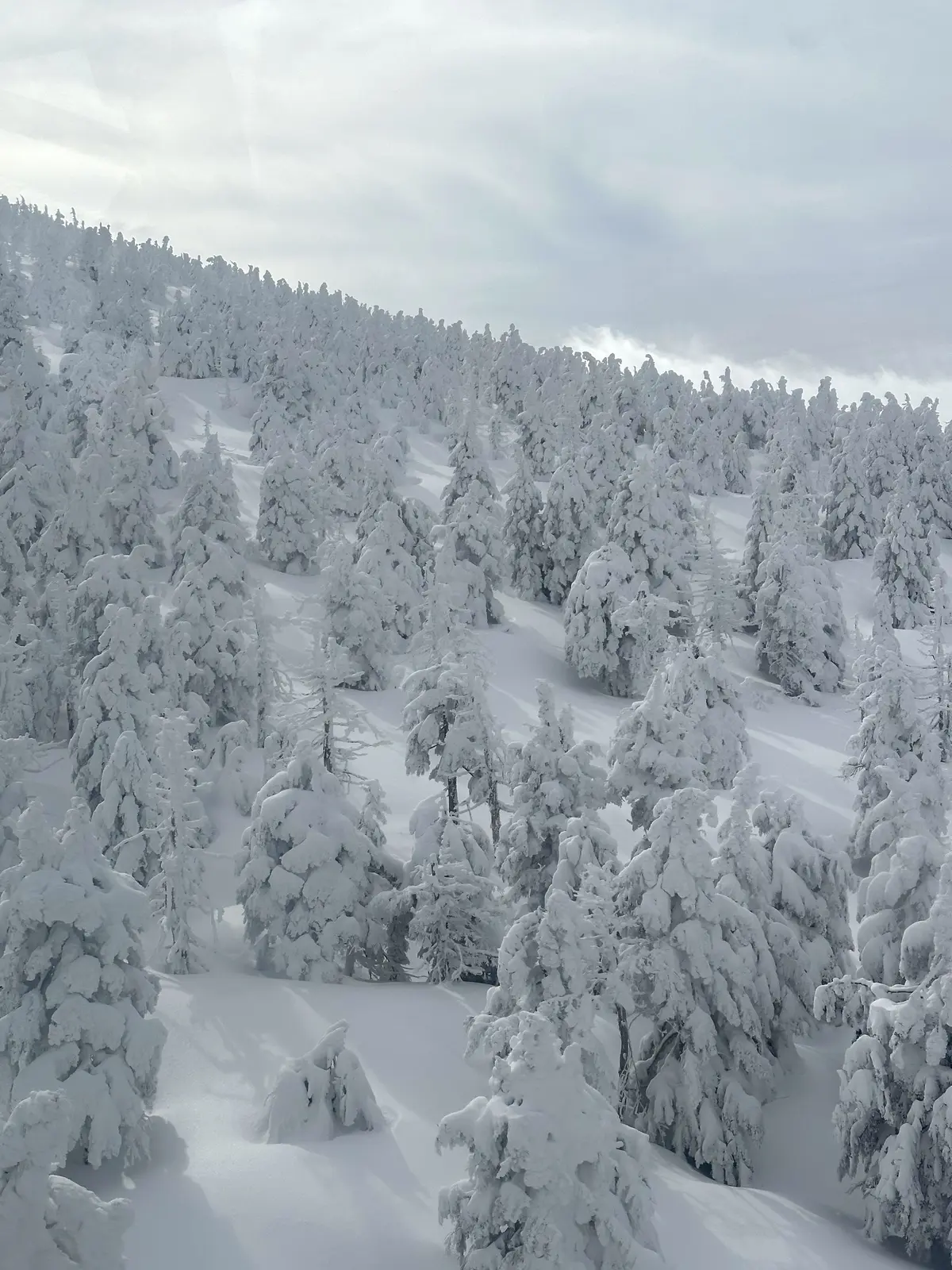 樹氷と美肌の湯を楽しむ♡山形県蔵王への旅の画像_7