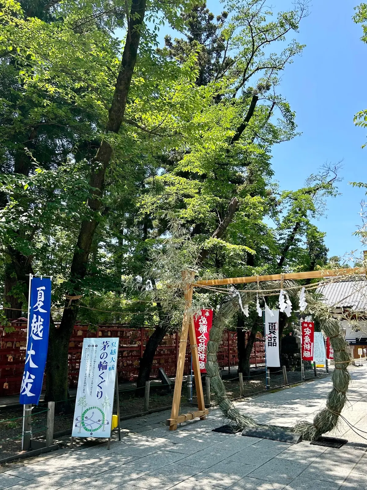 夏越しの祓い　茅の輪
