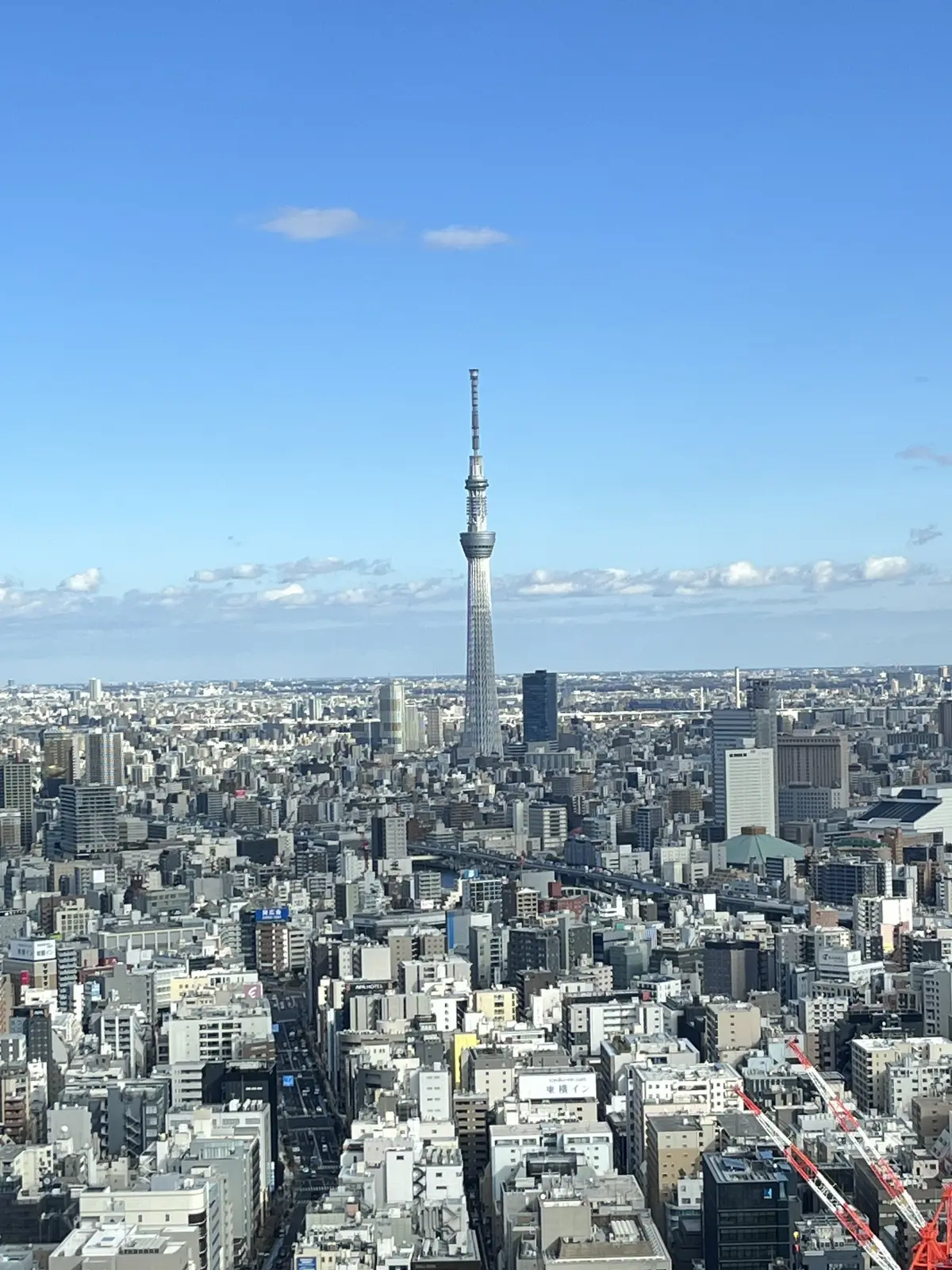 誕生日のブーケと最後にちょっとだけキラキの画像_8