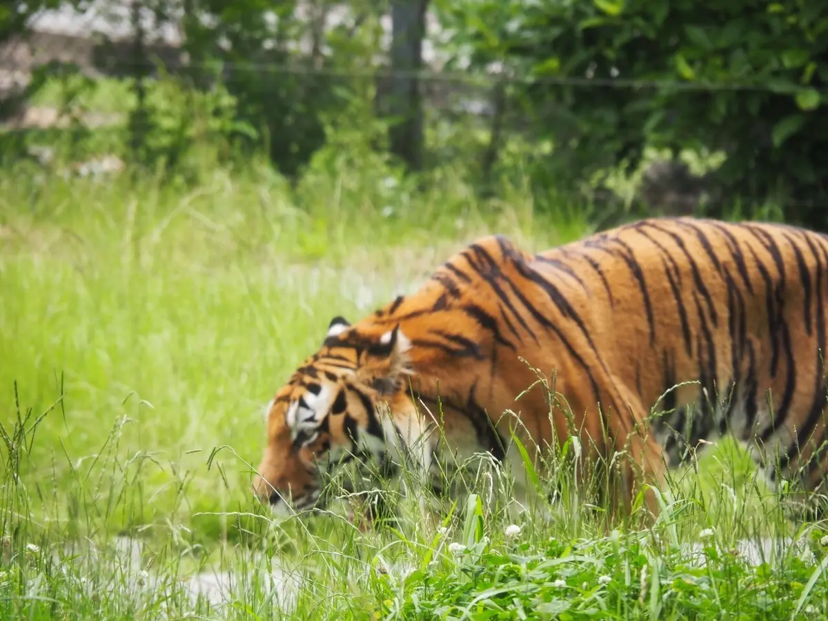 初めての和歌山県!!紀南方面へ2人旅♡～の画像_13