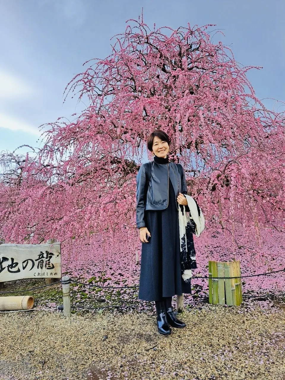 梅の花に圧巻。鈴鹿の森庭園。の画像_1
