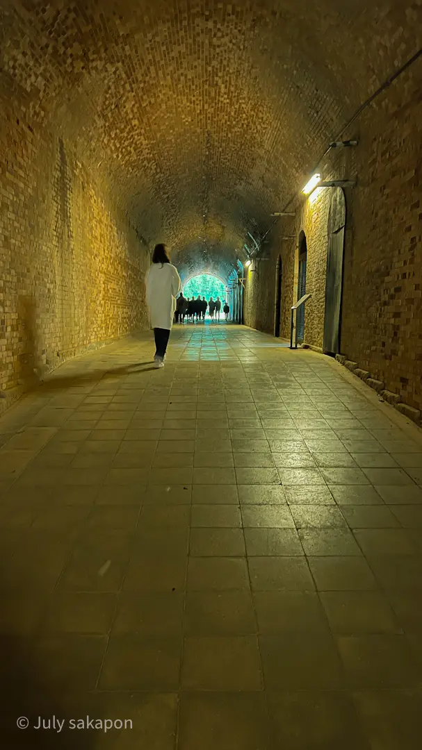 【さかぽんの冒険】前編☆無人島で奇跡のラの画像_27