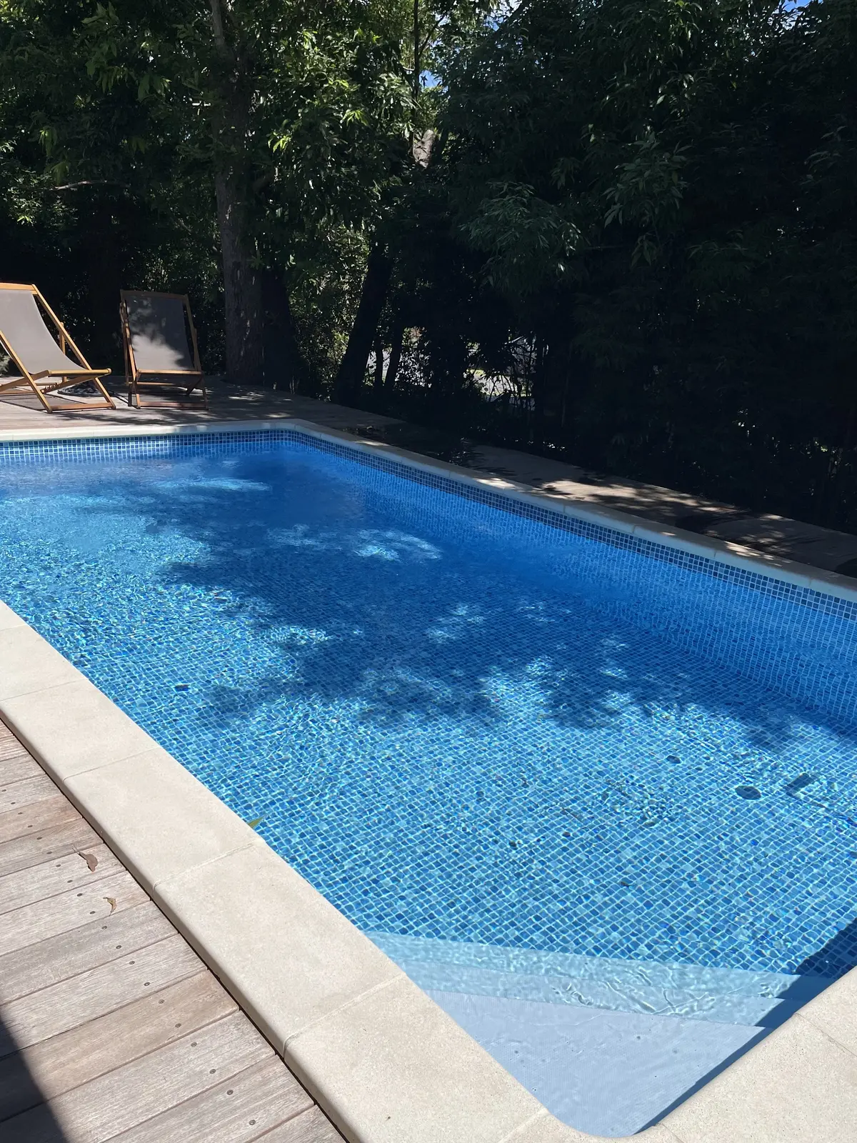 緑豊かな自然に囲まれた伊豆高原で幸せなひの画像_6