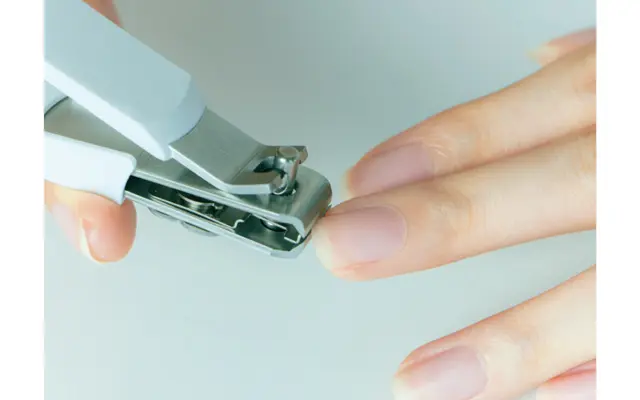 爪の端から切る