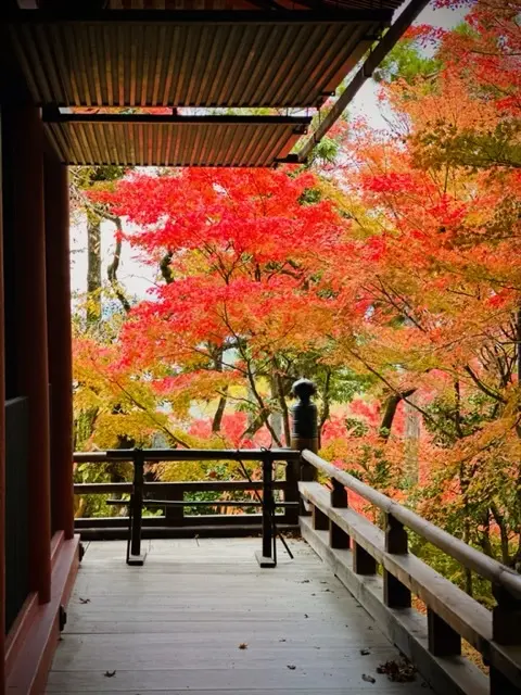 秋の京都巡り♡紅葉の永観堂（禅林寺）〜 の画像_15