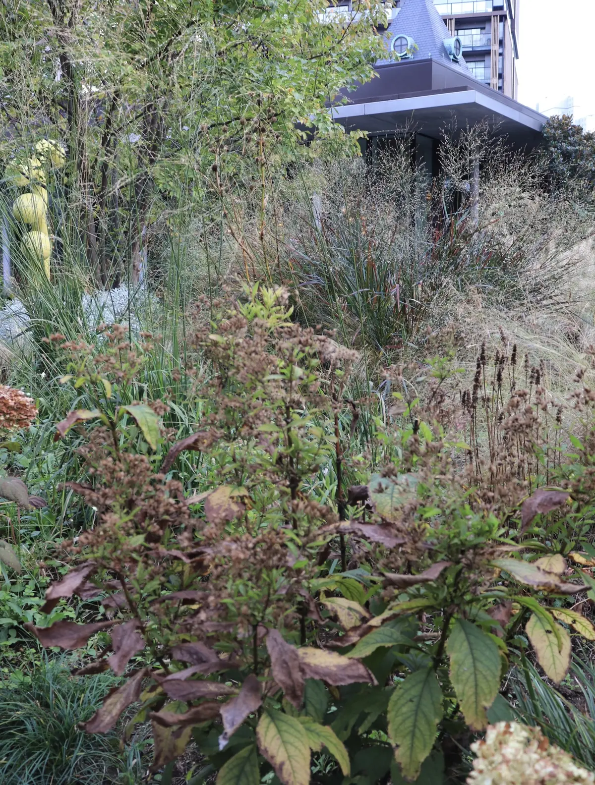紀尾井ナチュラリスティックガーデン　紀尾井レジデンス