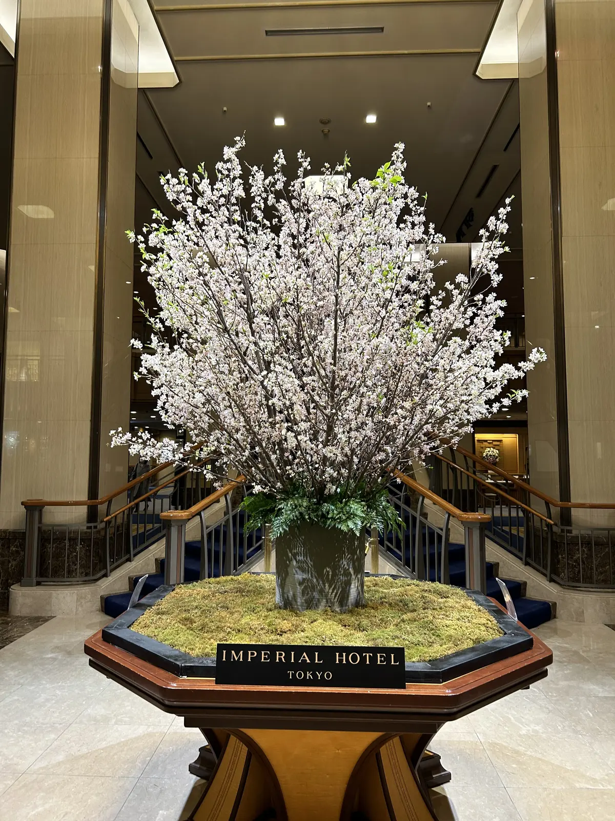 帝国ホテルメインロビーの桜