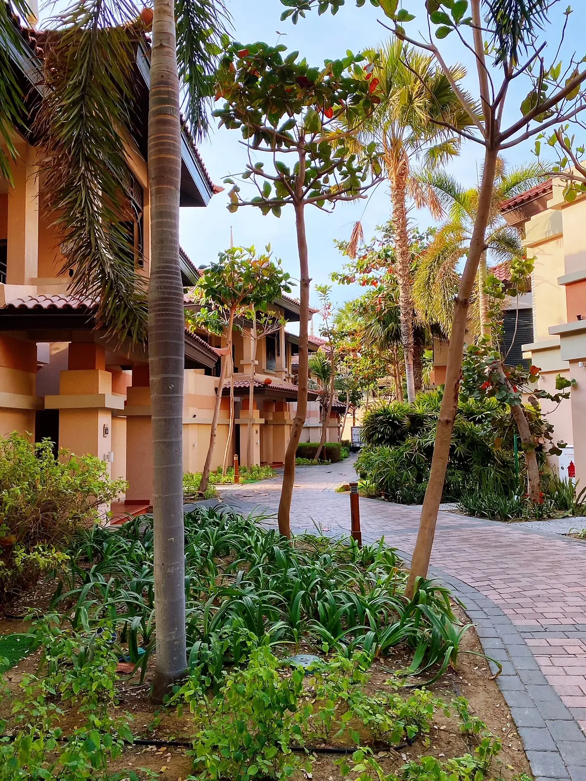 ドバイの楽園「Anantara The の画像_12