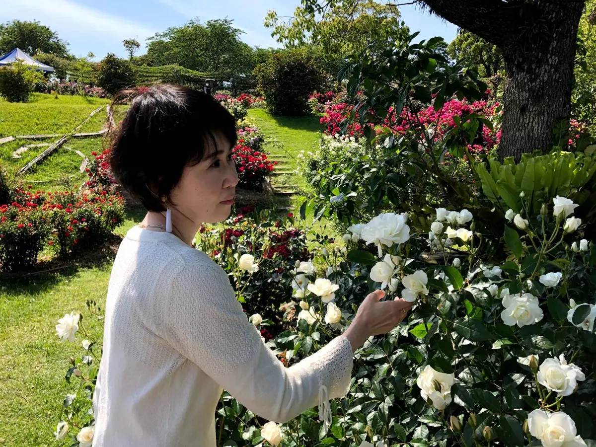 白いバラも素敵です