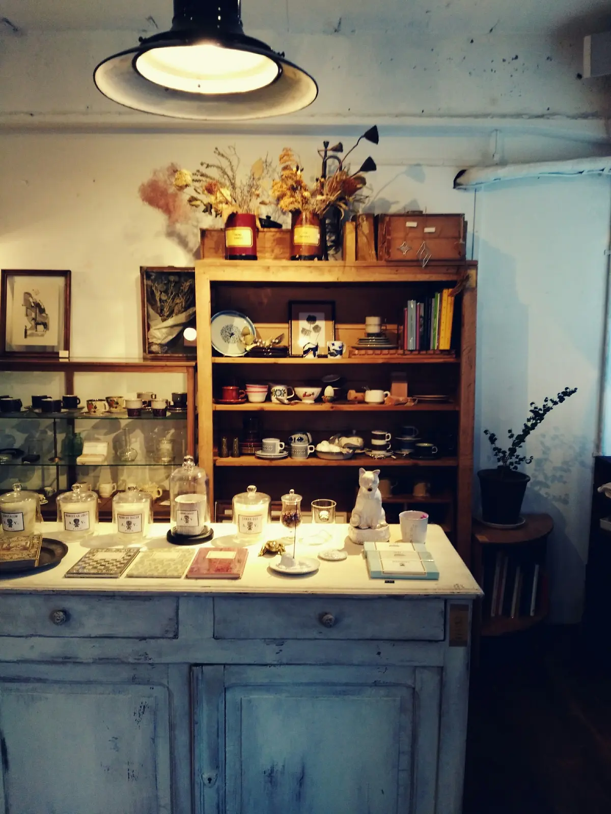 ブローチのすすめ。綱島のお気に入りレストの画像_3