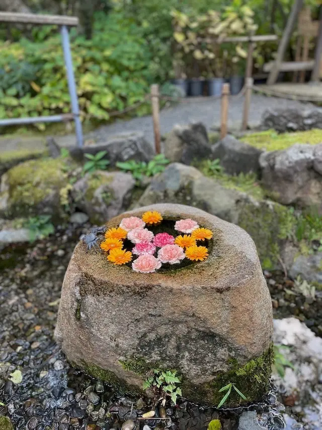 古都鎌倉〜紅葉2021♪の画像_10