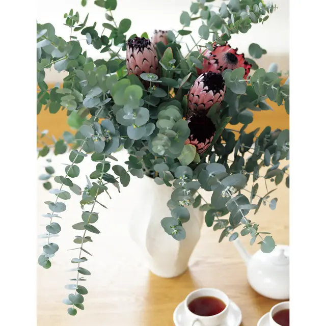 視線が行き交うローテーブルに モダンな彩りで高揚感アップ