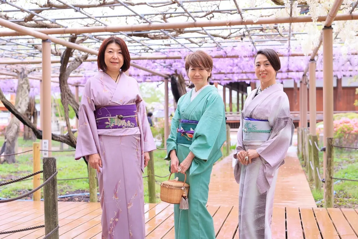 曼陀羅寺の藤まつりに行って来ました。の画像_1