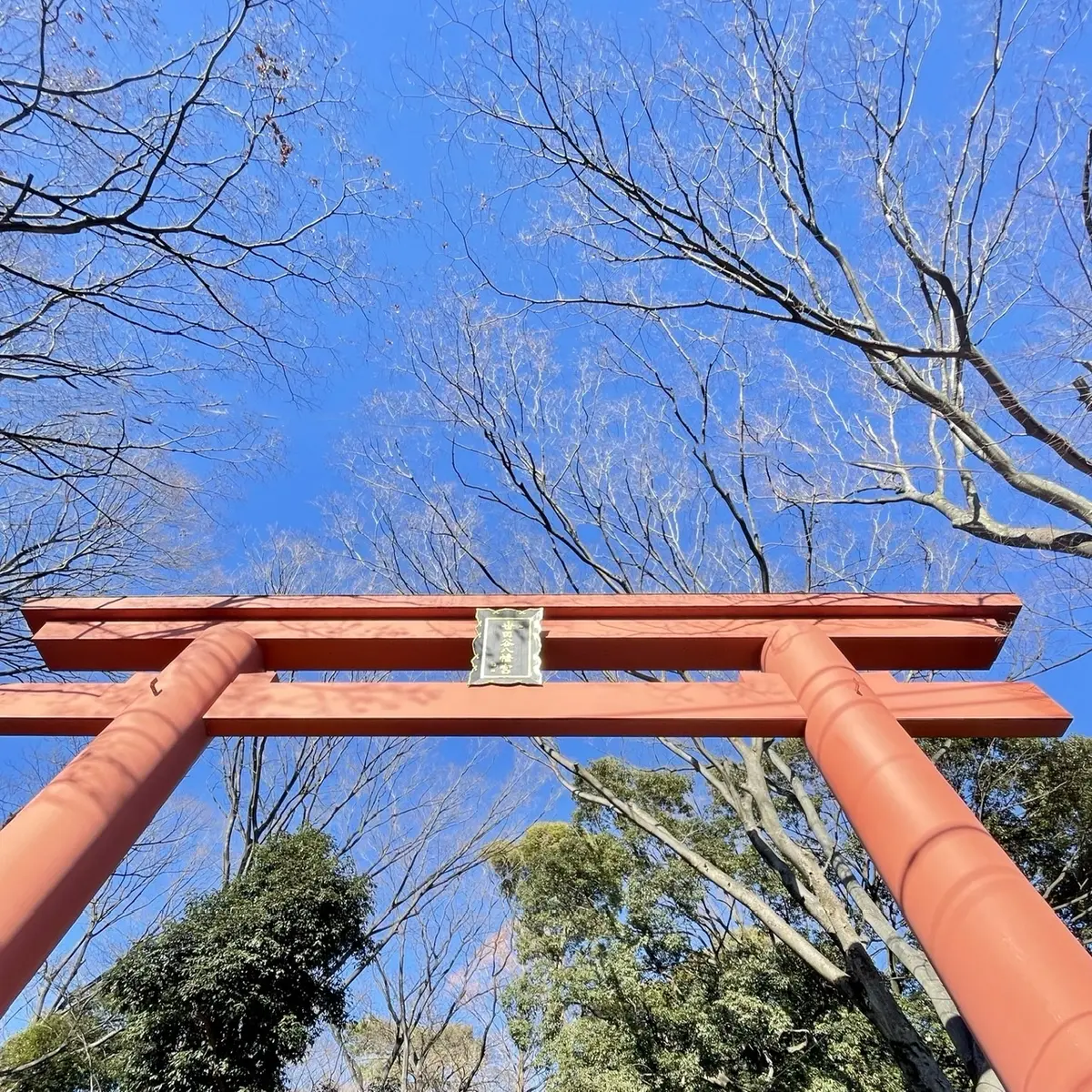 今年もシンプル＋スパイス コーデでの画像_5