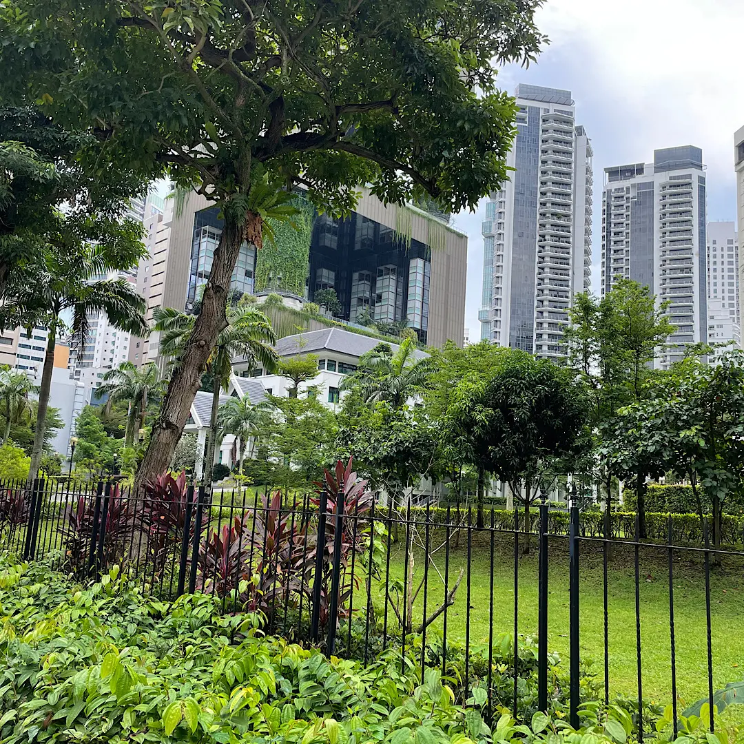 シンガポールでお気に入りのカフェの画像_1