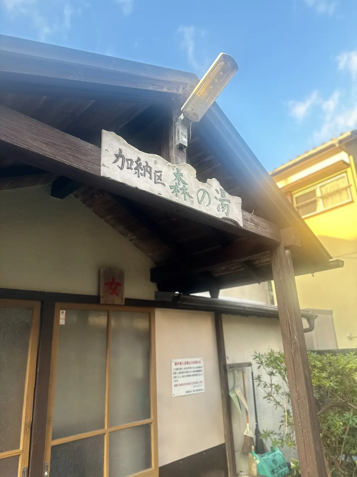 湯煙漂う河津桜並木を散策の画像_3