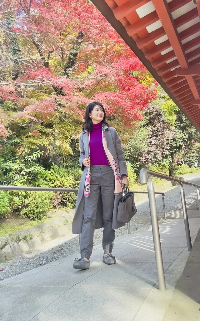 富士山本宮浅間大社 × ユニクロのジョガの画像_4