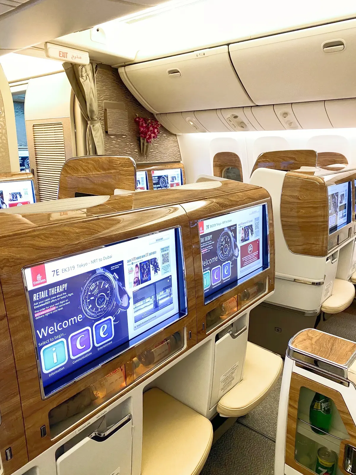 ドバイへ出発‼︎PCR,成田〜ドバイ空港の画像_7