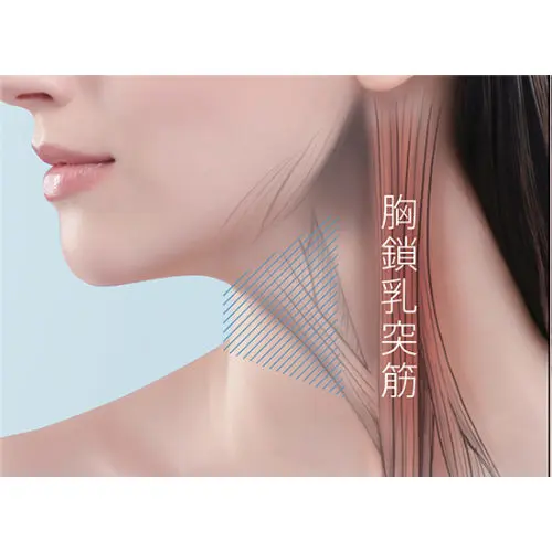 YA-MAN メディリフト ネック ￥29,000+税