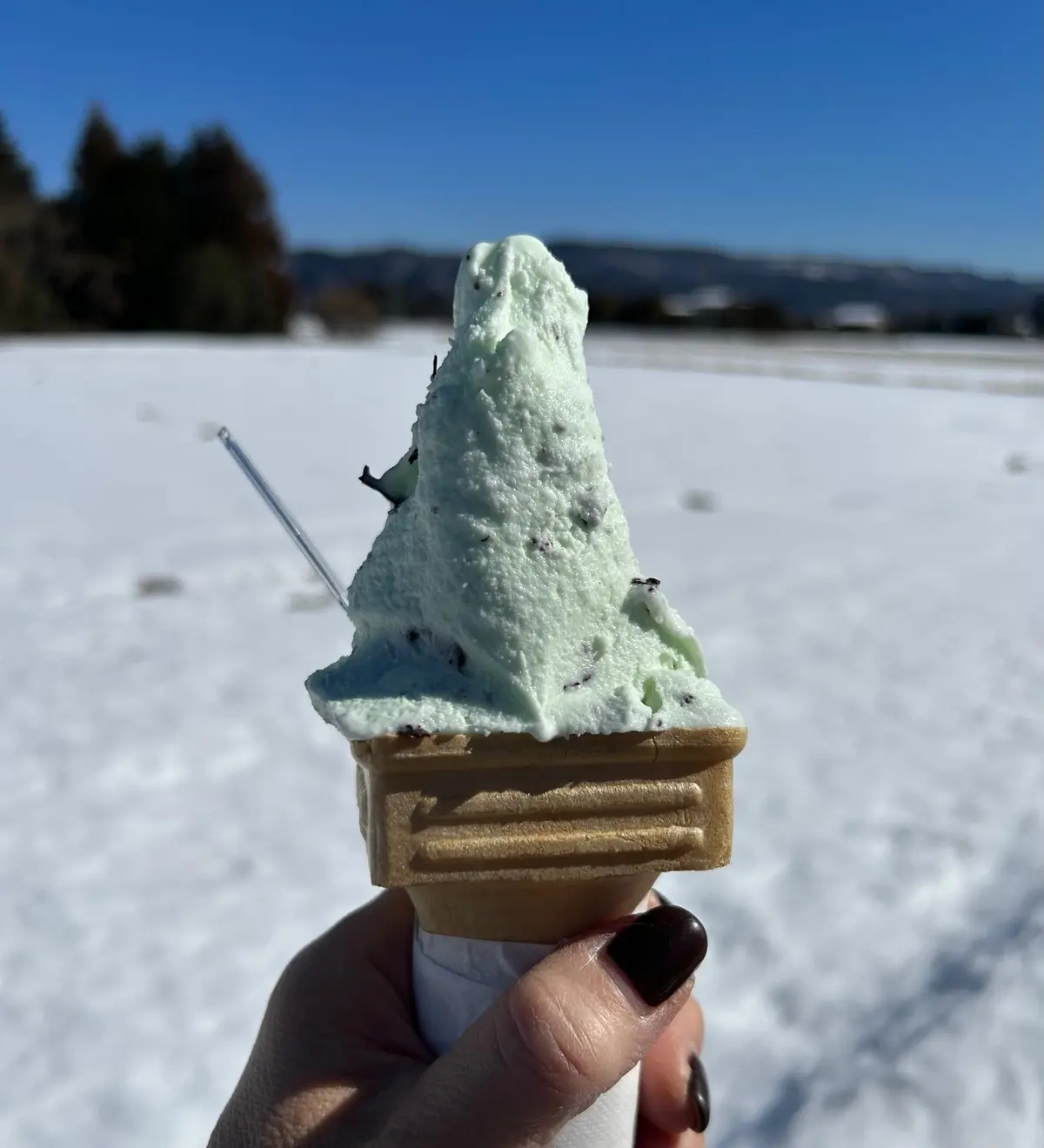 家族DEスキー♪の画像_12