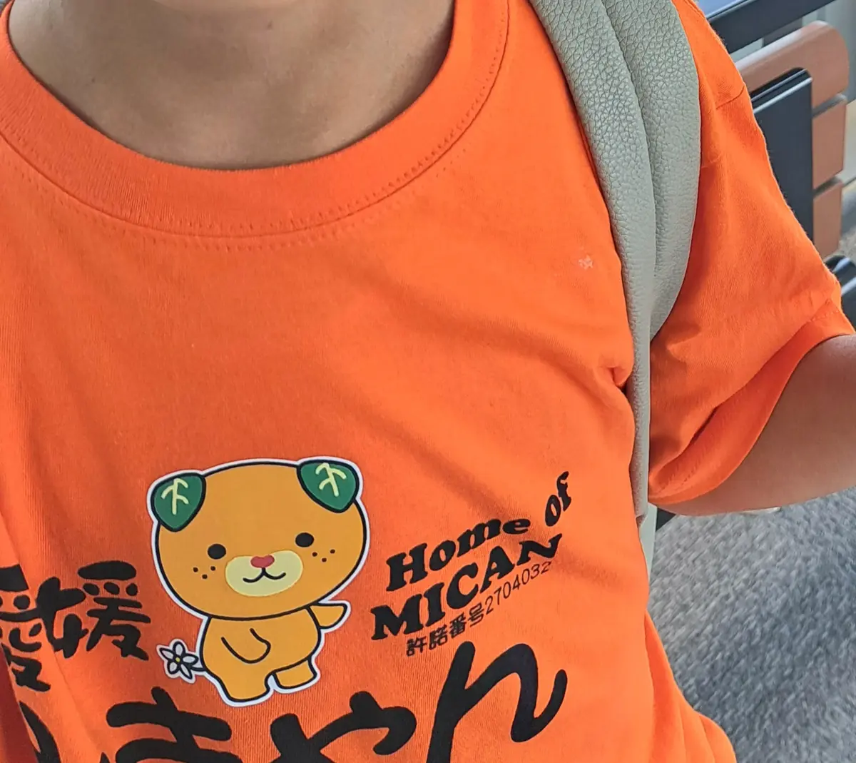 みきゃんを訪ねて松山への画像_16