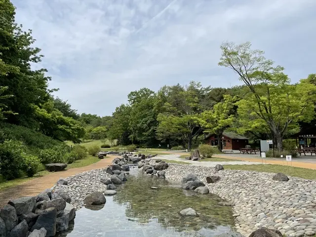 埼玉県森林公園「渓流広場」