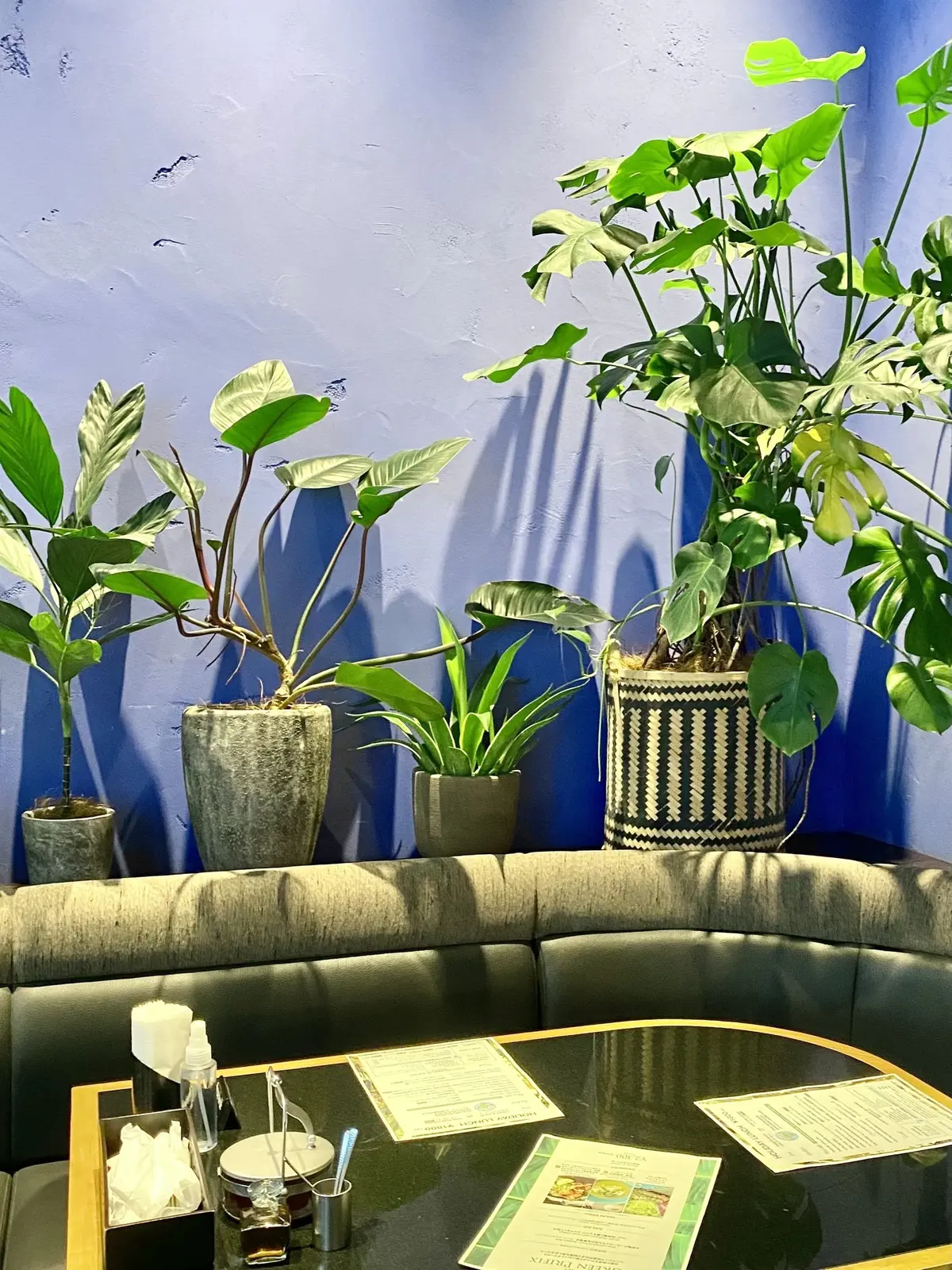 青い壁のソファー席