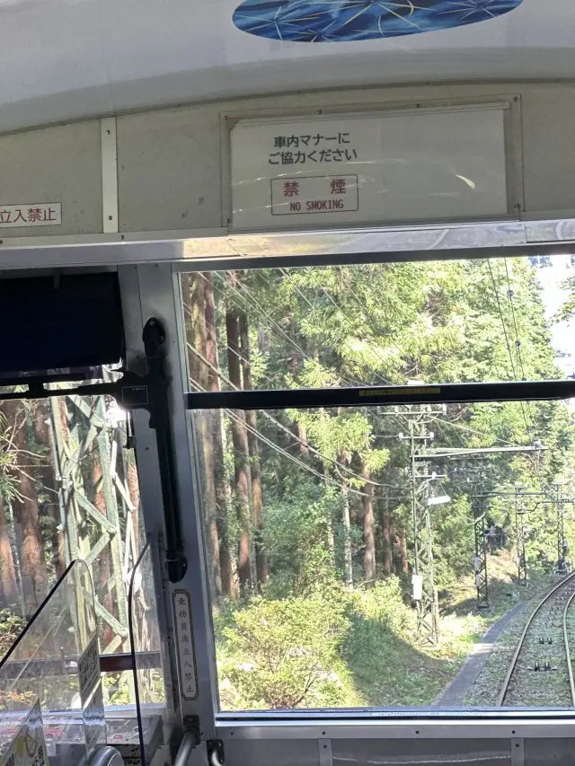 奥多摩プチトリップの画像_10