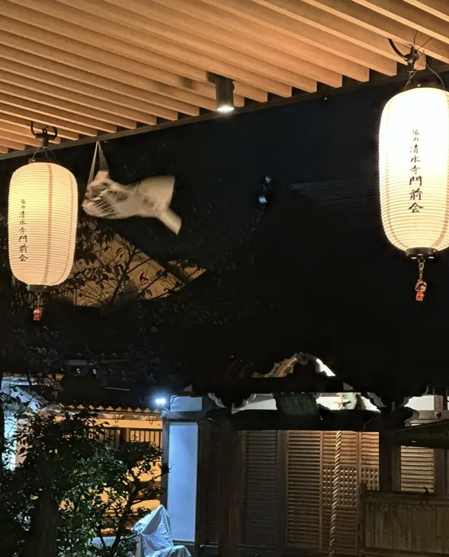 秋の京都の夜は、清水寺へ。の画像_9