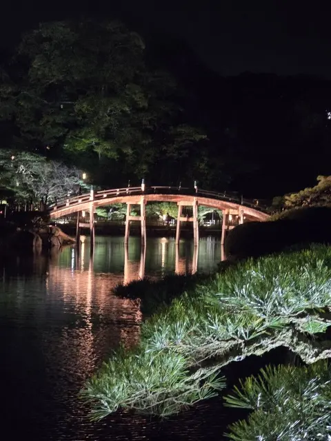 栗林公園ライトアップの画像_3