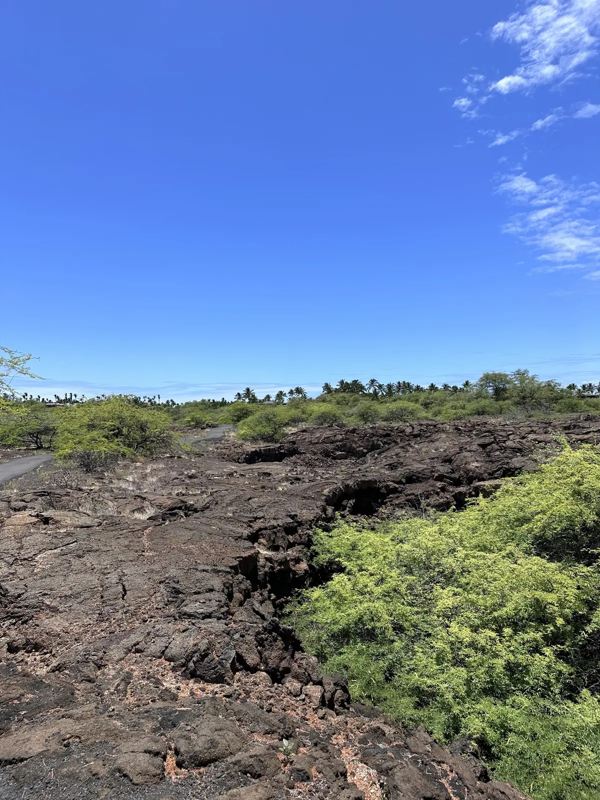 ハワイ島　パワースポット巡り編の画像_2