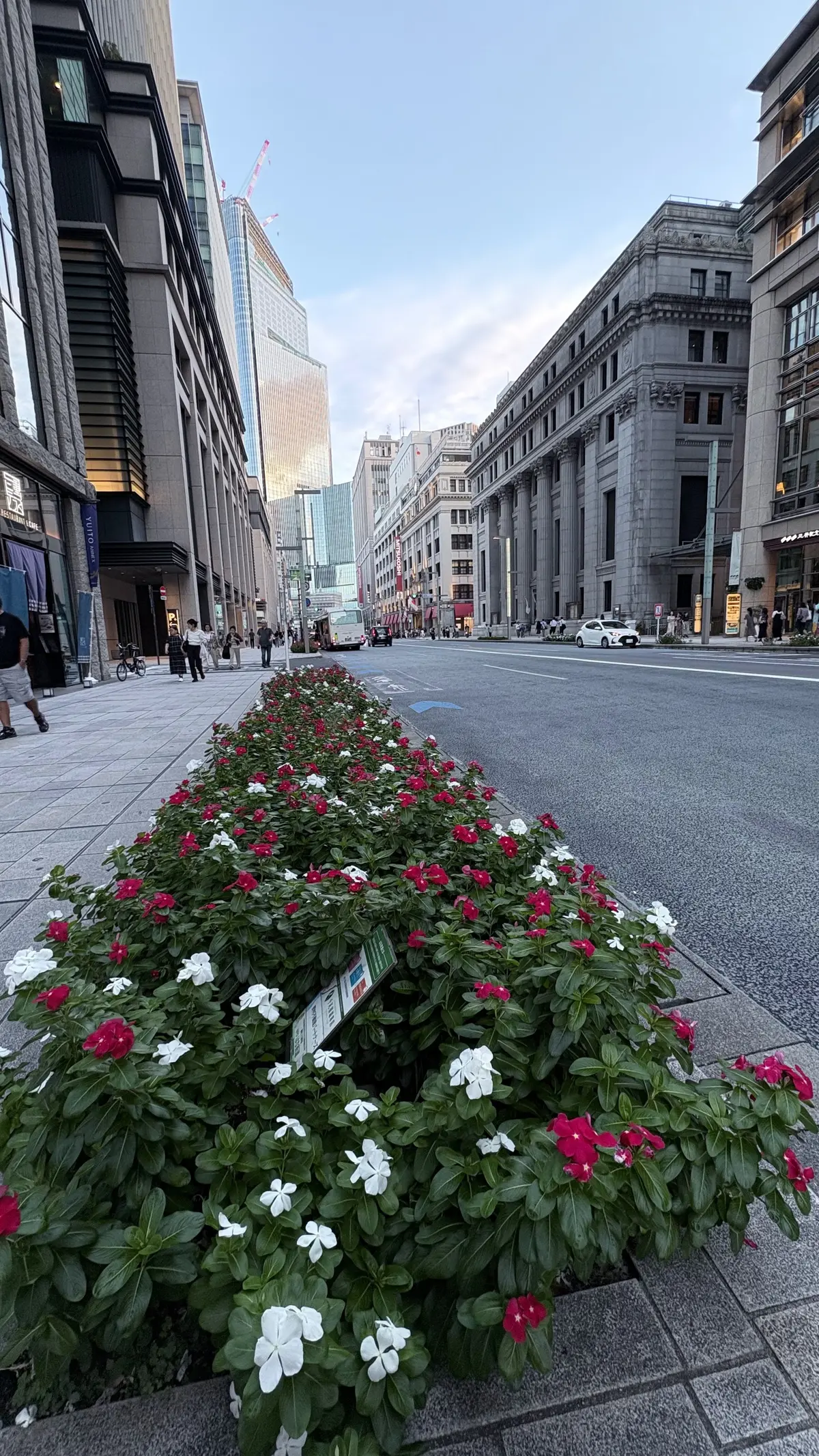 三重テラス　室町エリア　日本橋　大人の街　花壇