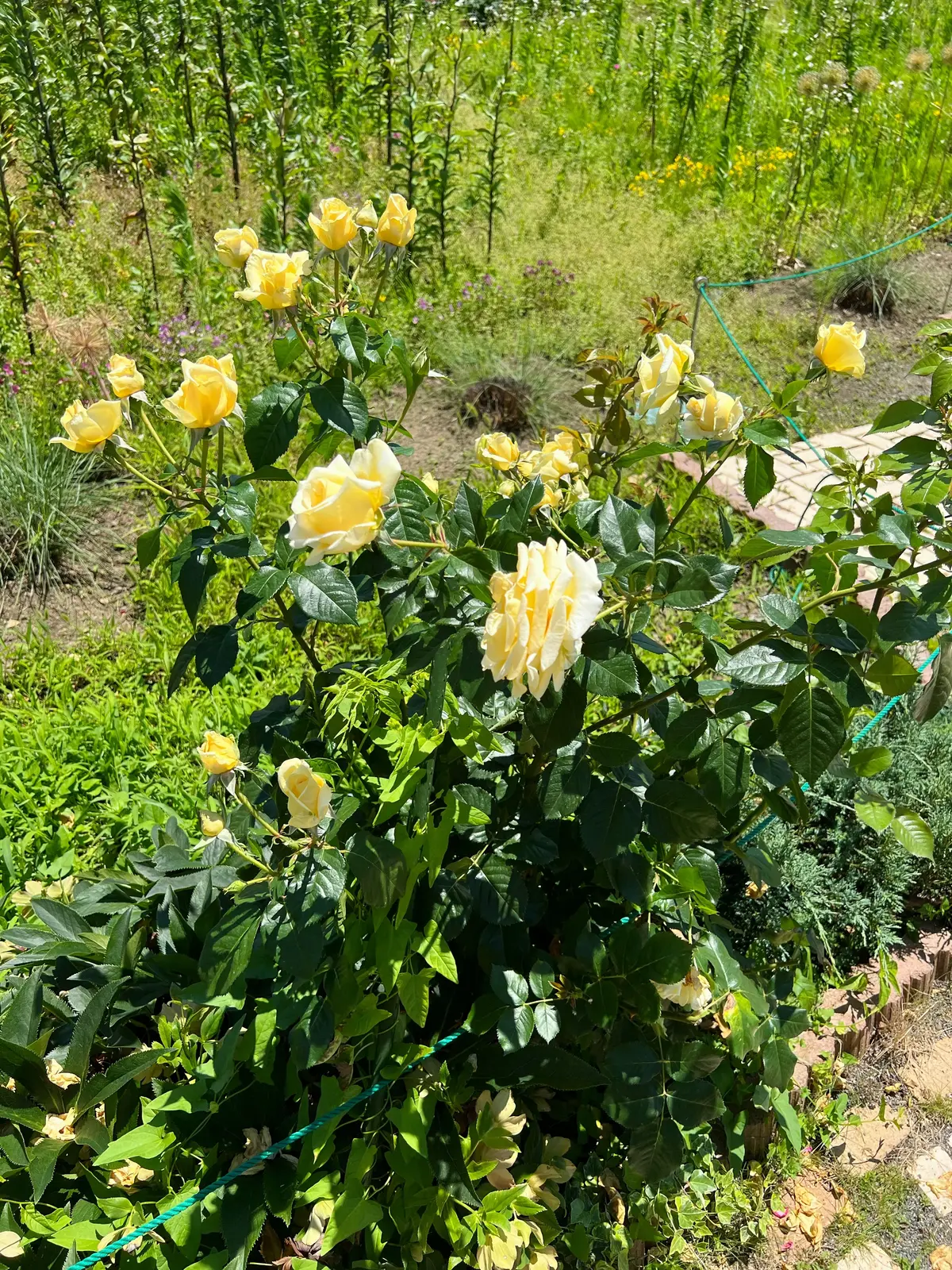 週末旅行観光スポット①の画像_8