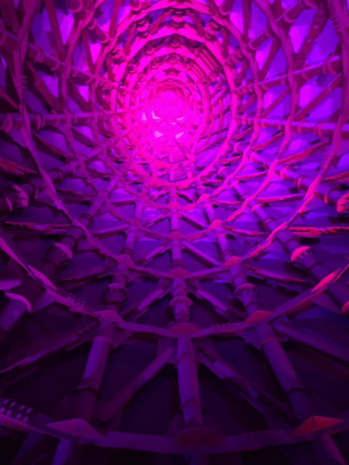 私と同い年のEXPO70 「太陽の塔」の画像_20