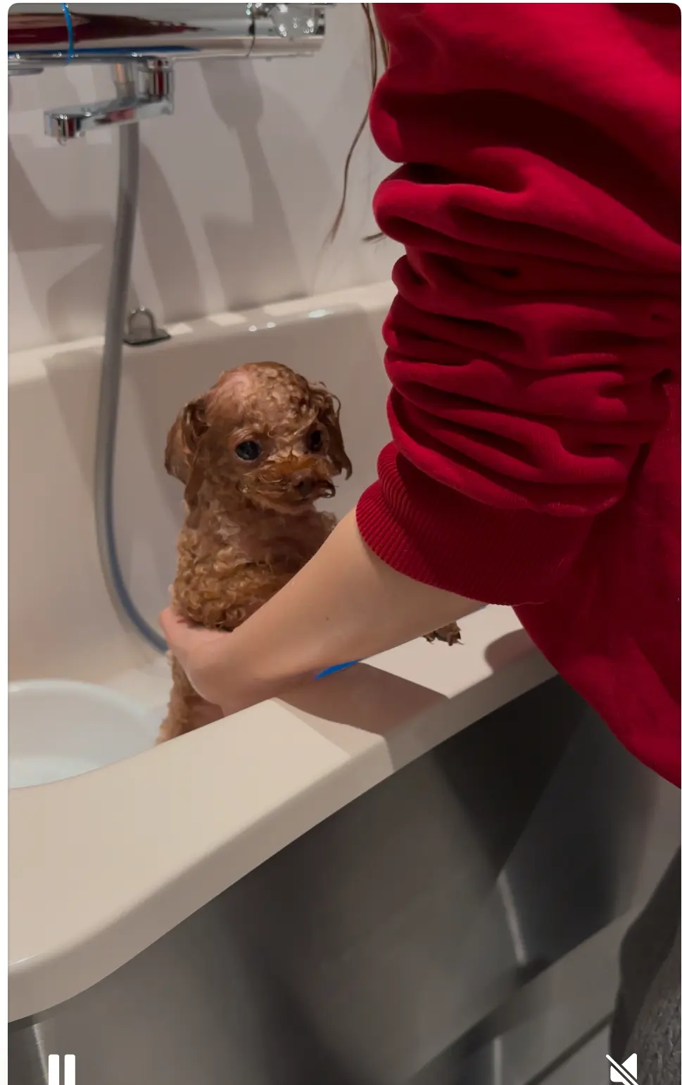 家族で行くサンクチュアリ琵琶湖の画像_6