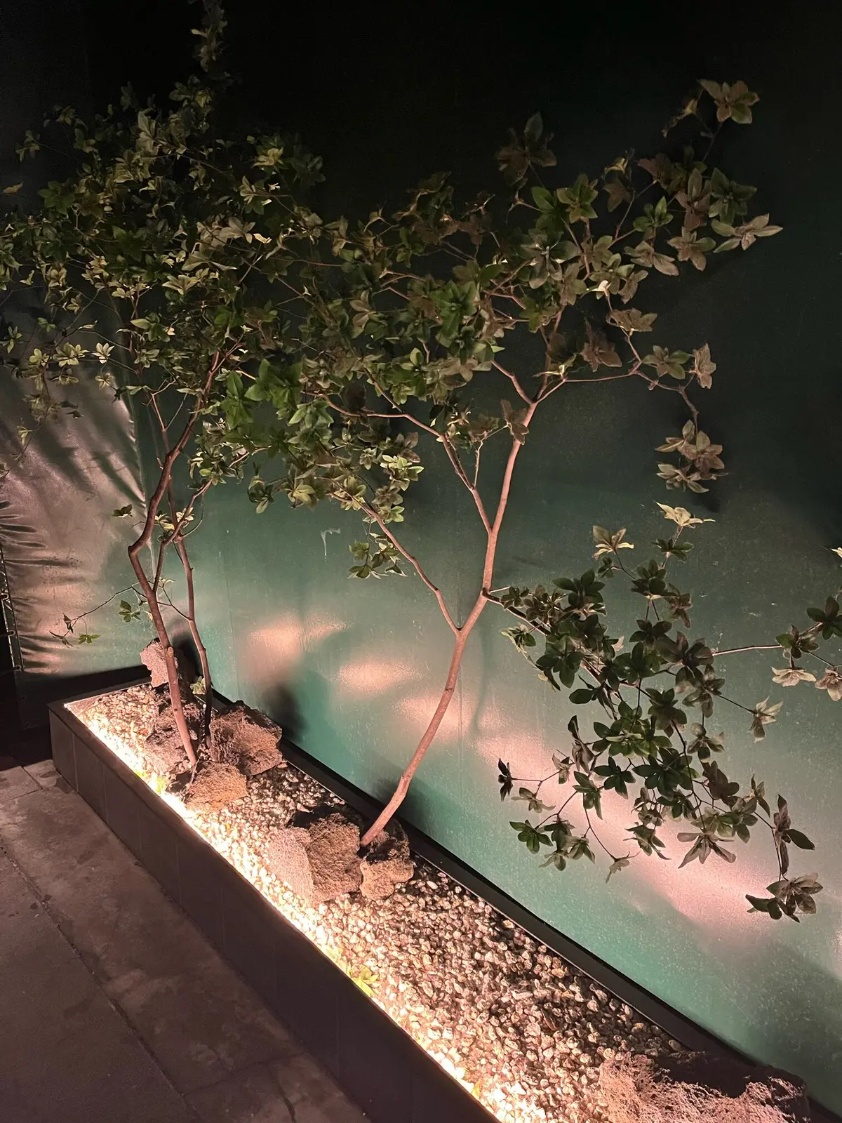 【大人デートレストラン】高田馬場にひっその画像_2