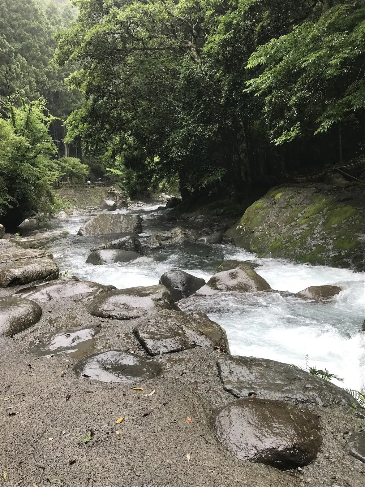 プチトリップで気分転換♪の画像_5