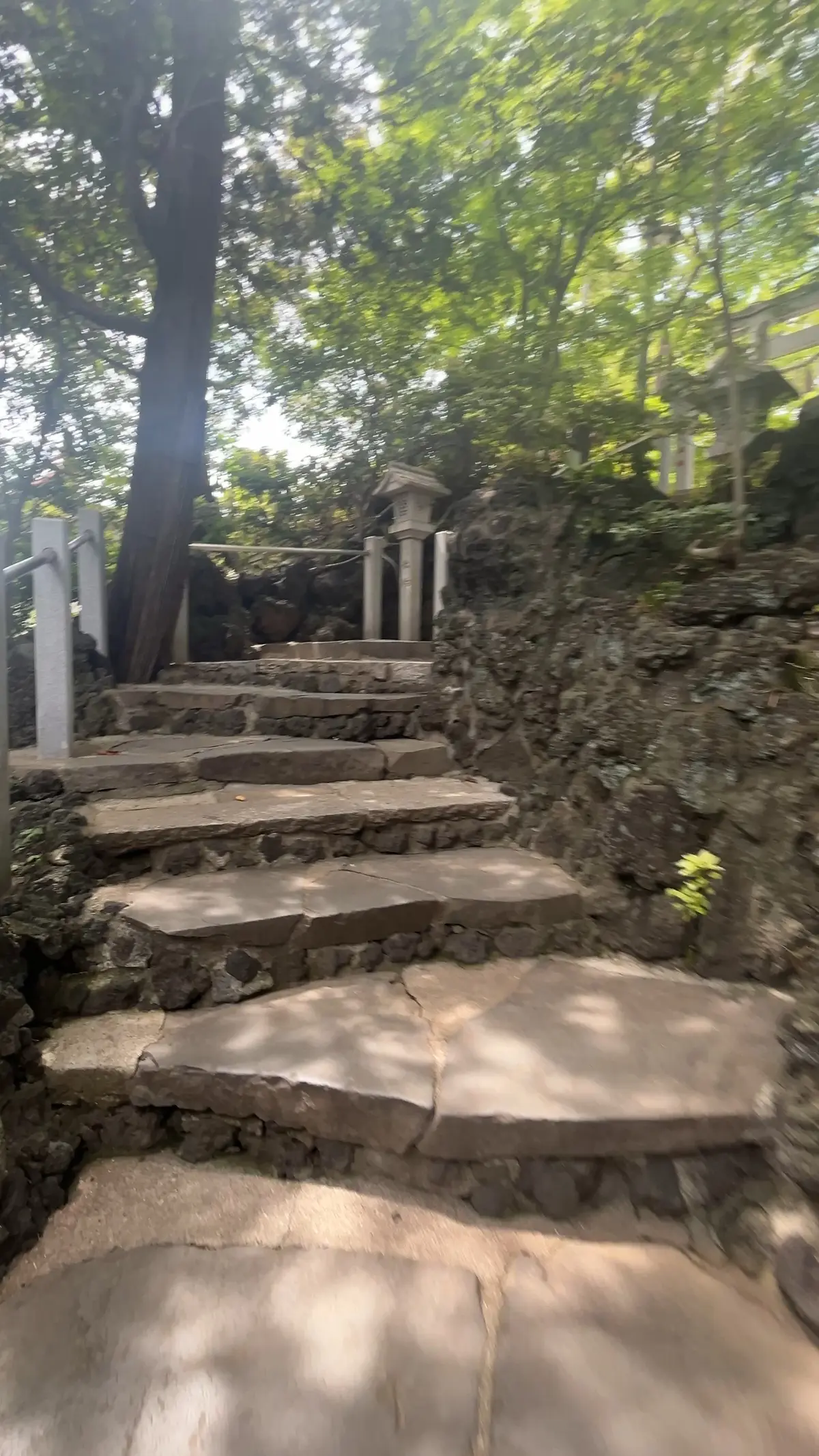 ふらっと日帰り一人旅〜東京神社めぐり〜の画像_7