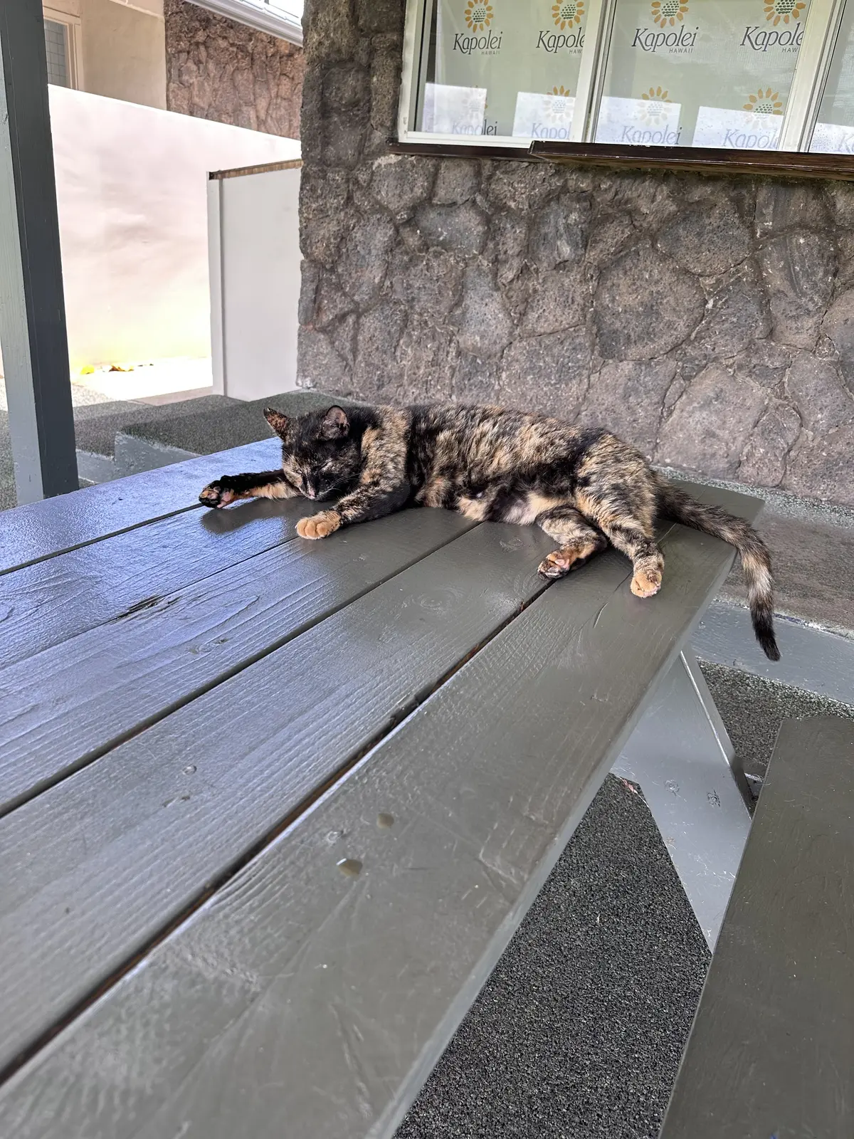 ハワイでのアクティビティの画像_2