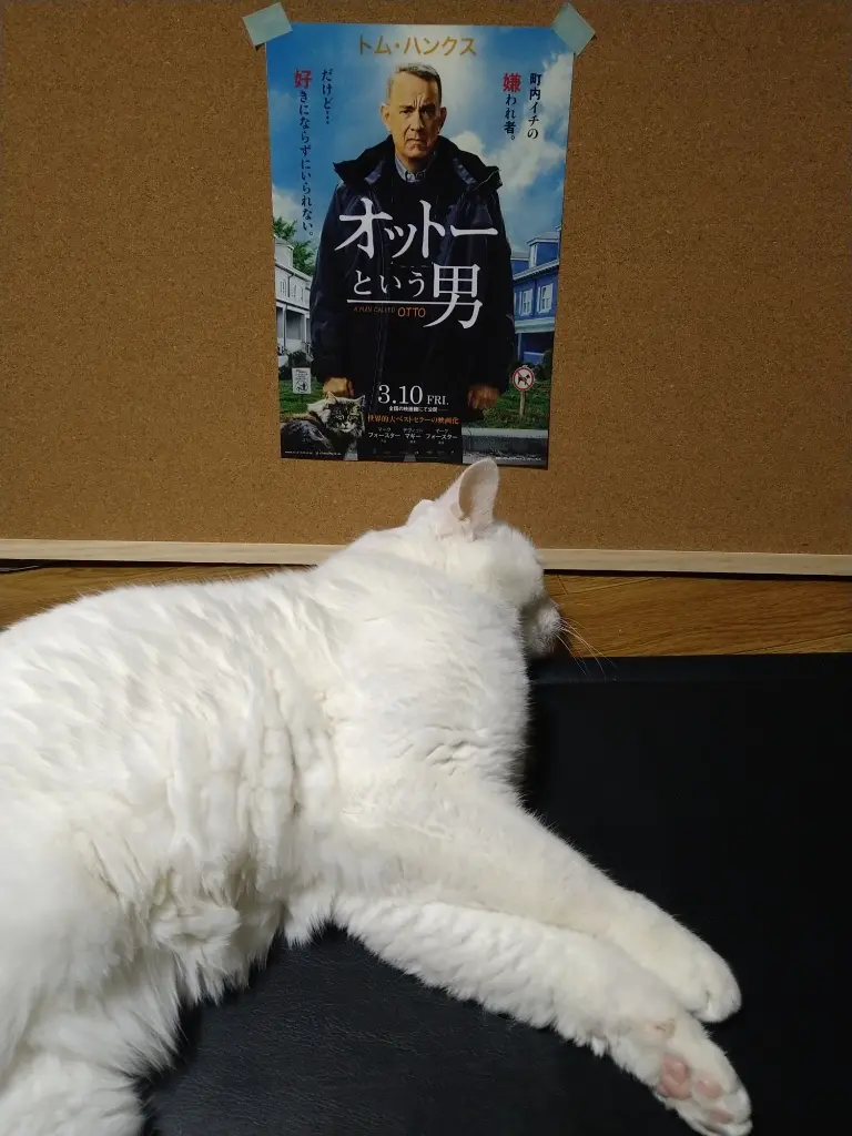 オットーという男とねね