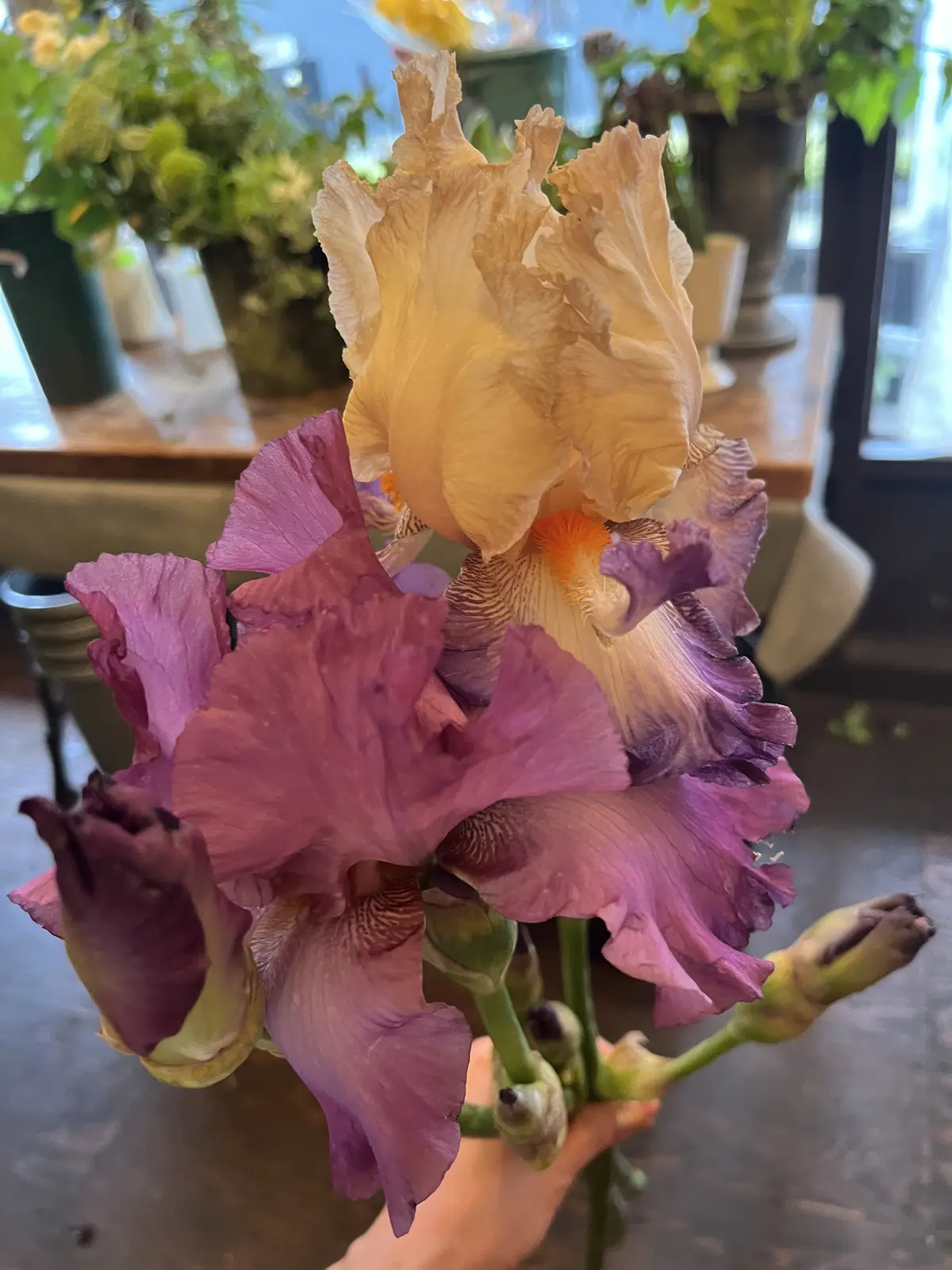 初めて選んだお花でブーケの画像_5