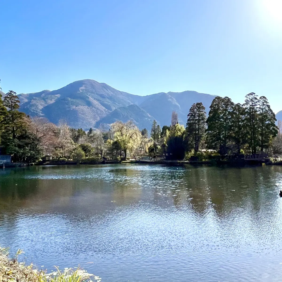 由布院　金鱗湖