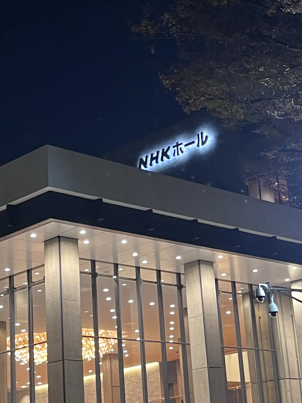 恵比寿でキラキラツリー観賞・夜はLiveの画像_17