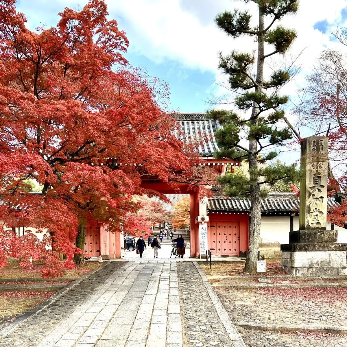 秋の景色を楽しむ♡京都の紅葉の画像_20