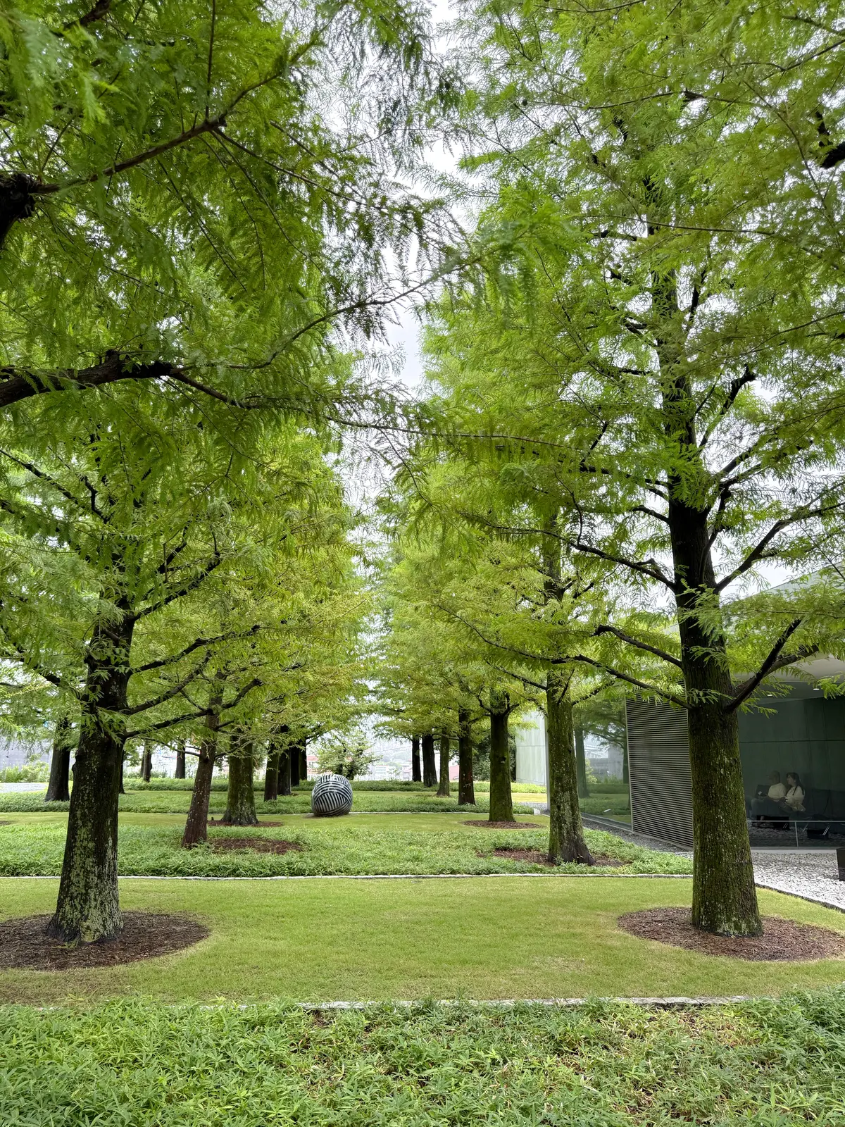 愛知・モネ展@豊田市美術館〜夫婦で楽しむの画像_6