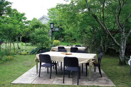 熊本の“ツクシイバラ”を楽しめる、至福のの画像_8